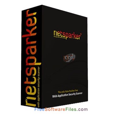 Netsparker Professional 4.8 Review