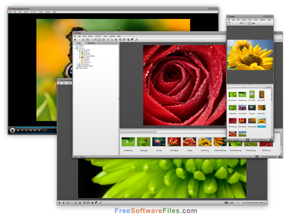 Firegraphic 10.5 Free Download for Windows PC