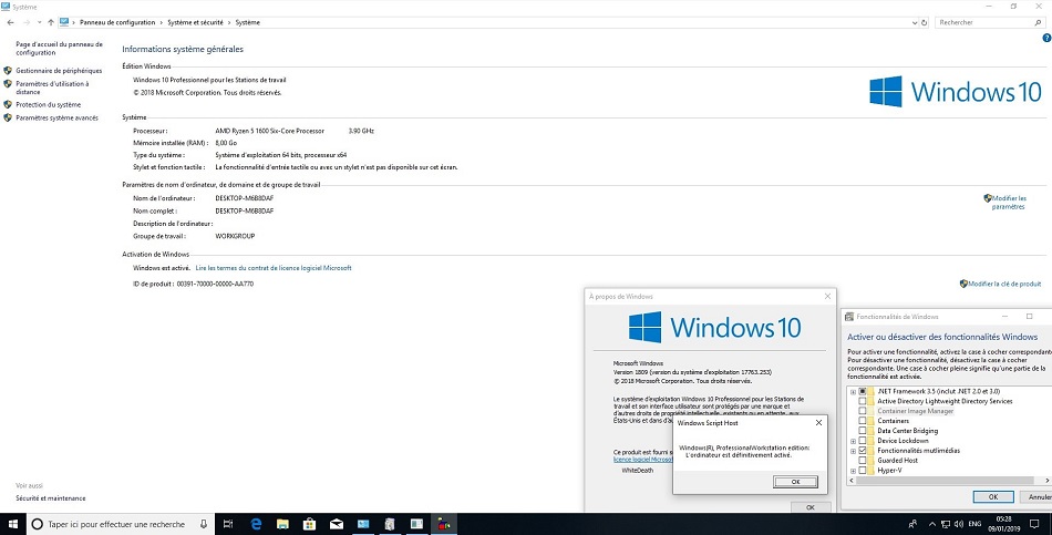 Windows 10 RS5 AIO with January 2019 free download full version